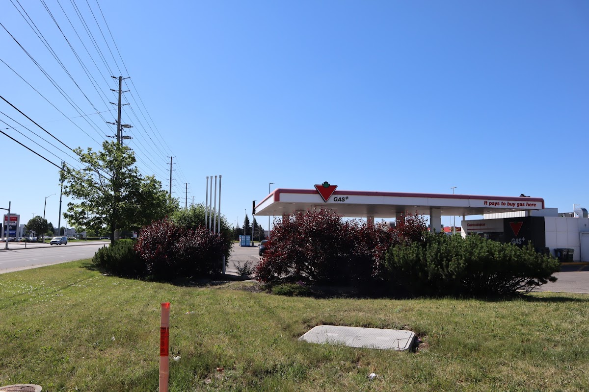 Canadian Tire Gas+ 5980 Mavis Rd