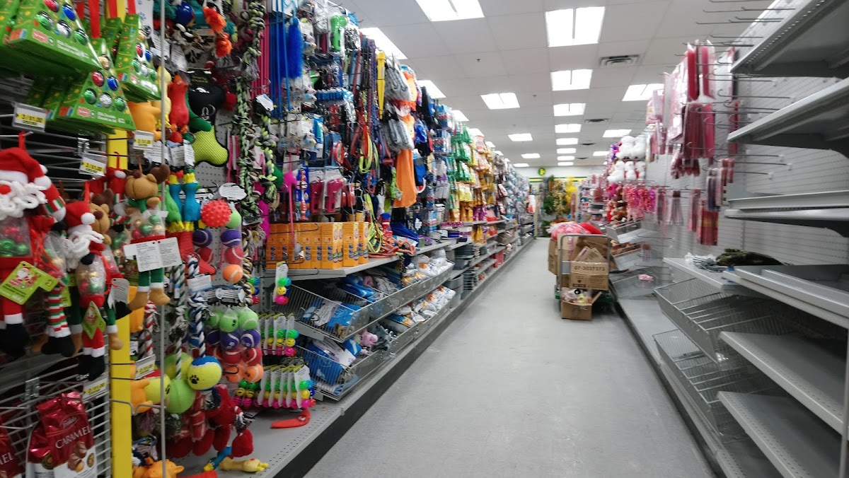 Dollarama Downtown Chatham Centre