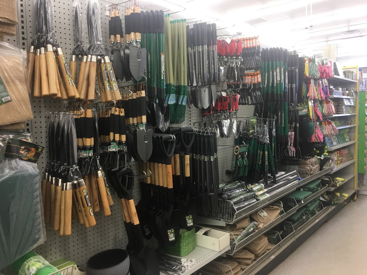 Dollarama Northwood Park Plaza
