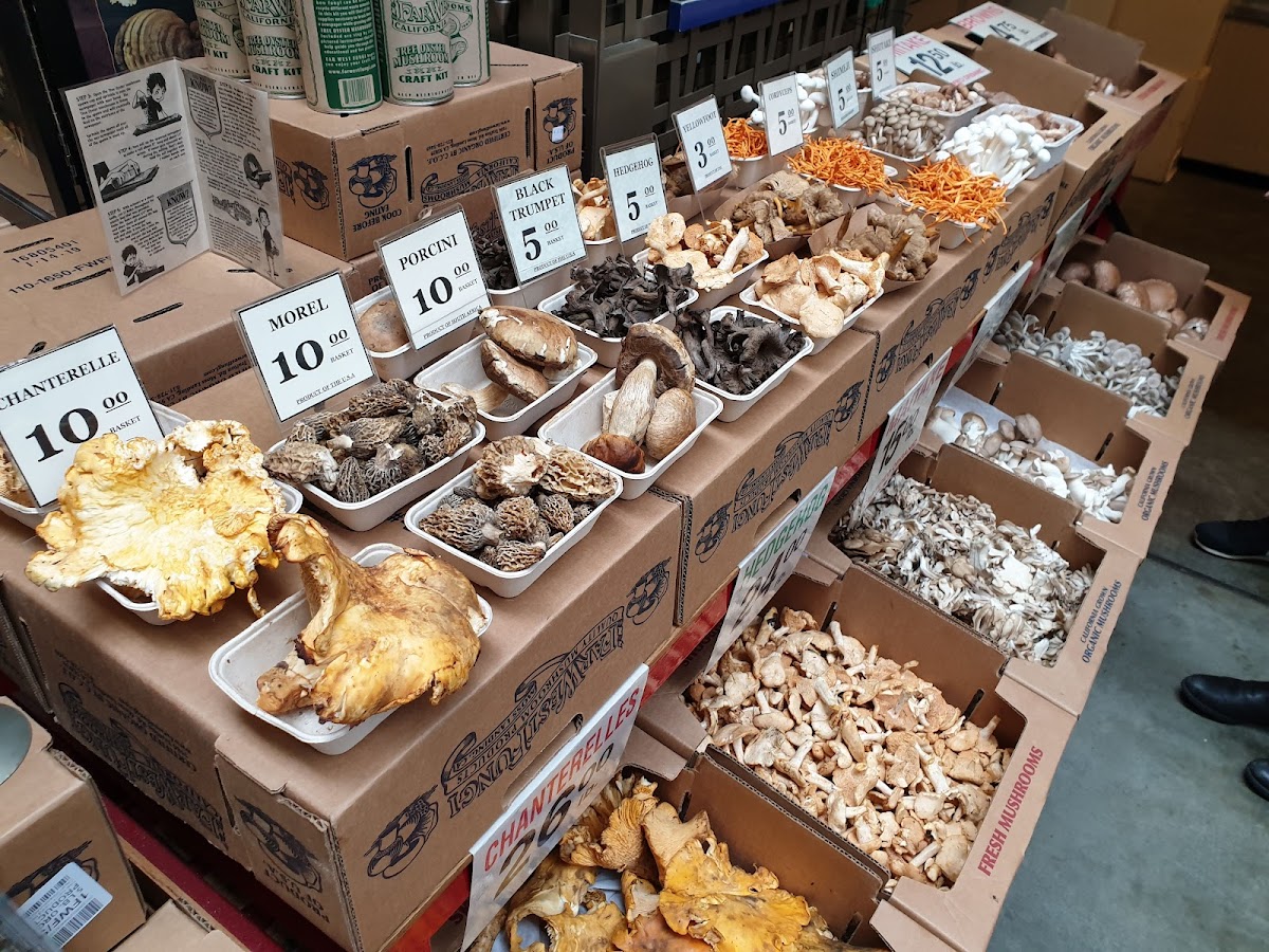 Far West Fungi