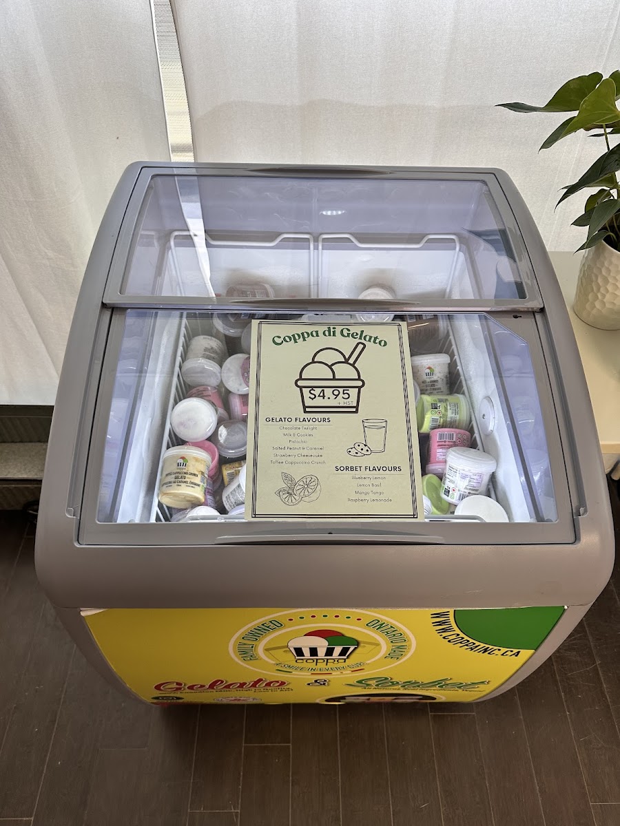 Genesis Chocolate Company