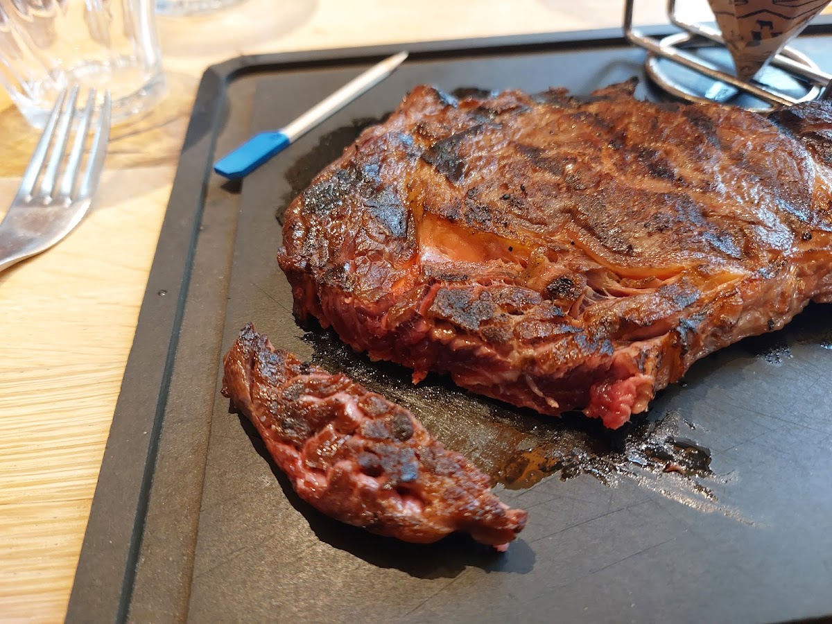 Hippopotamus - Toulouse Roques