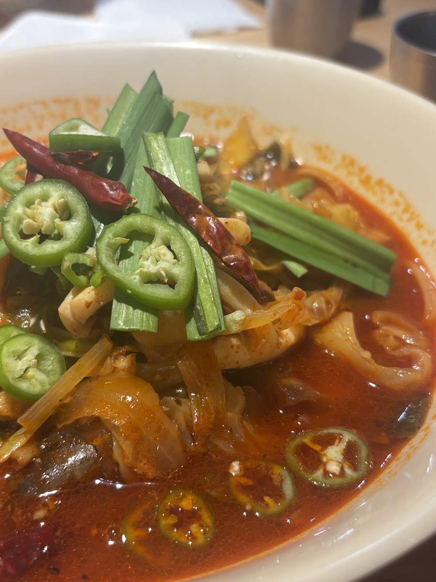 Hong Kong Banjum By Paik's Noodle