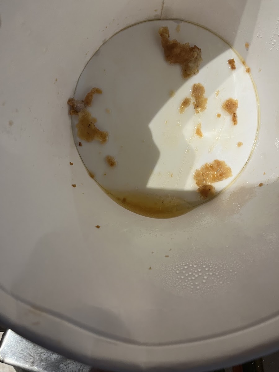 KFC 324 Boul Labelle