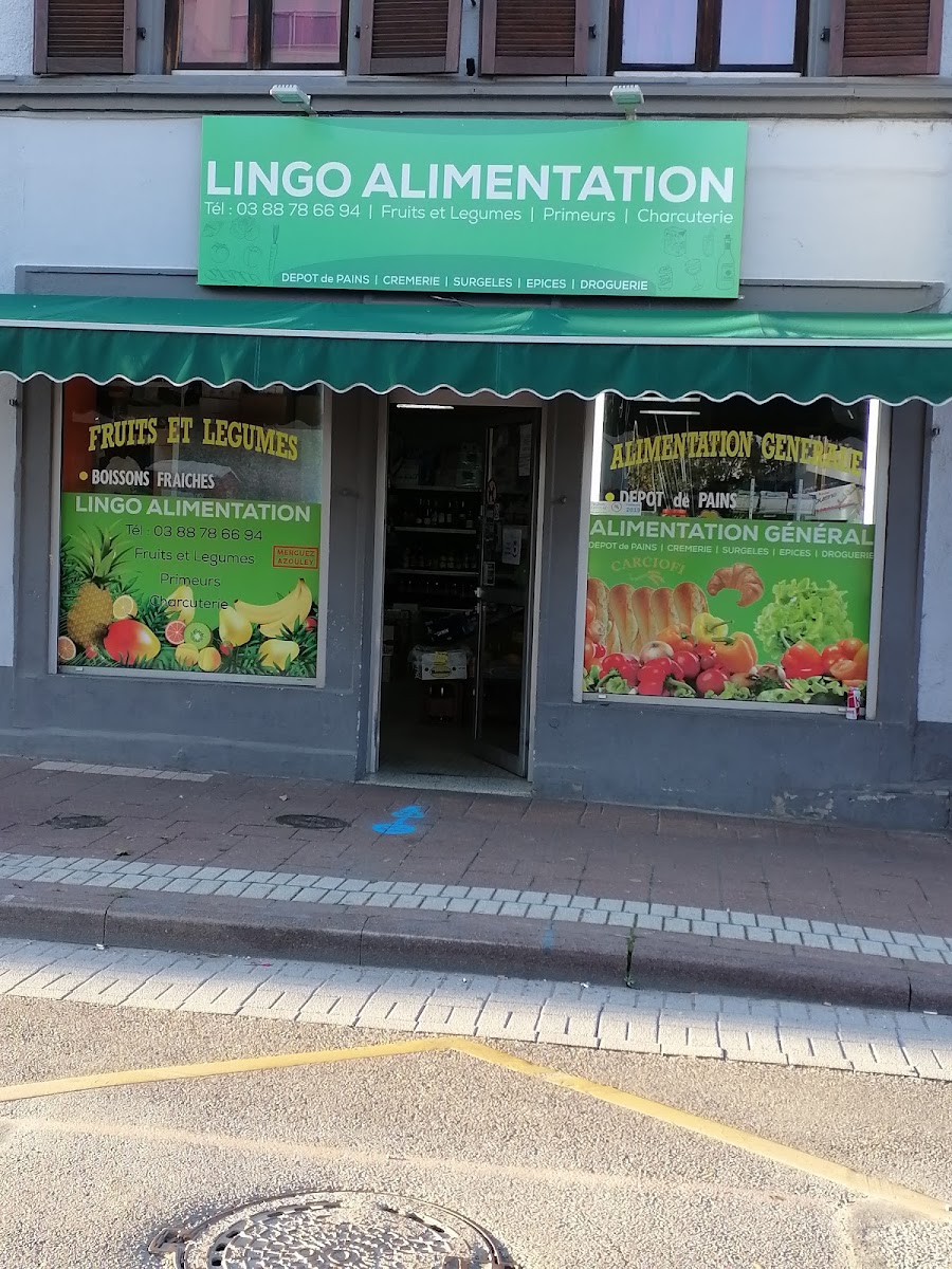 Lingo Alimentation