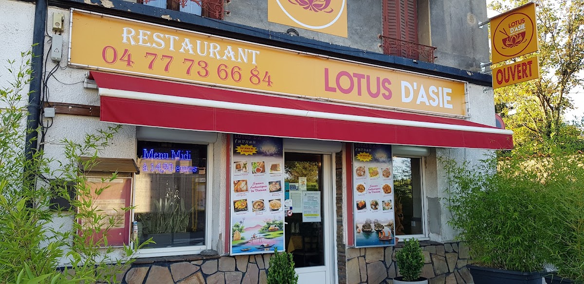 Lotus d'asie