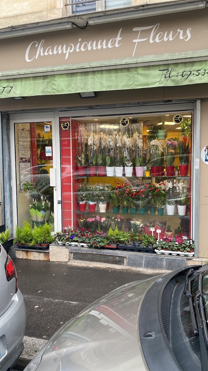 Marco Fleurs