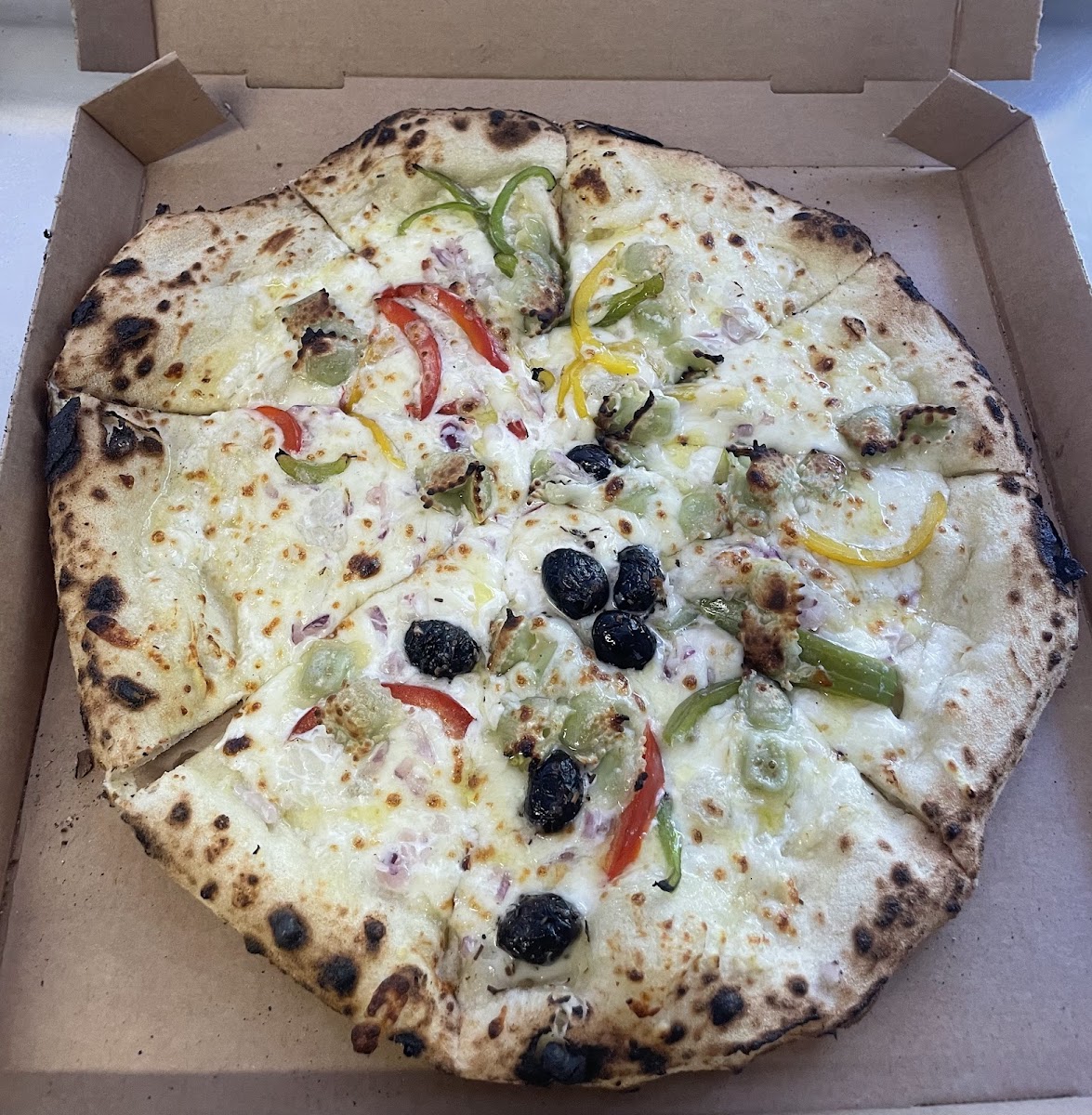 Net Pizza