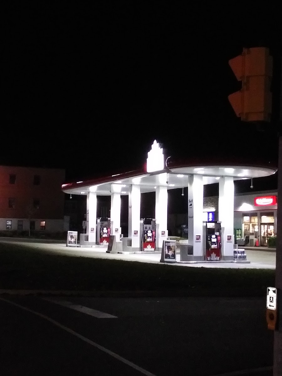 Petro-Canada 925 Simcoe Street North