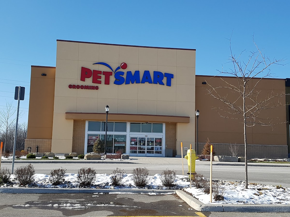 PetSmart London Sw