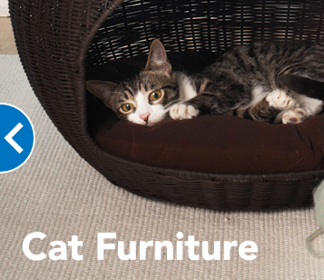 PetSmart London Sw