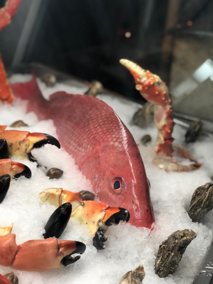 Salt Rock Grill