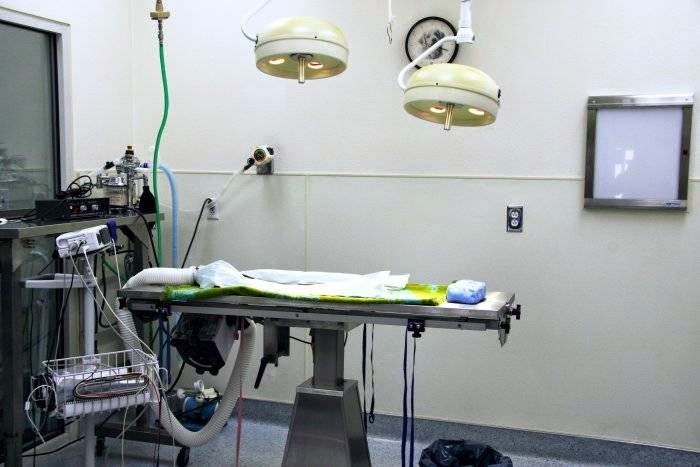VCA Bay Area Animal Hospital